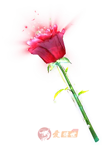 玫瑰花特效素材-爱传世